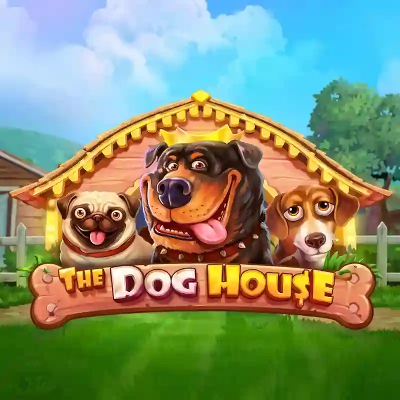 The Dog House
